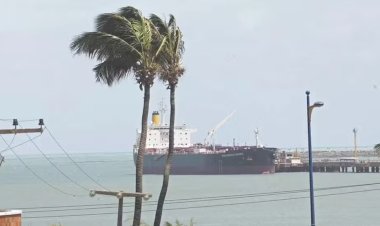 Inmet emite alerta de vendaval para 116 cidades do Ceará; confira lista